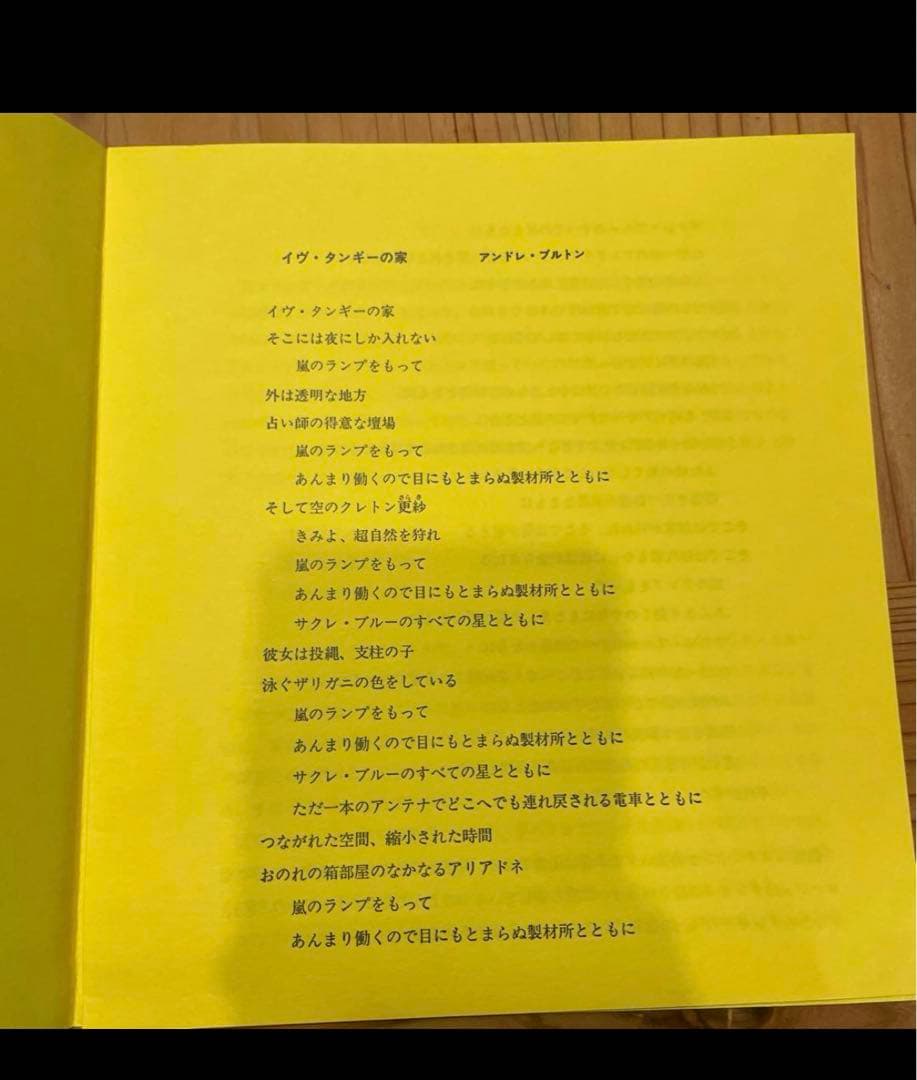 シュルレアリスムと画家叢書「骰子の7の目」〈第9巻〉イヴ・タンギー