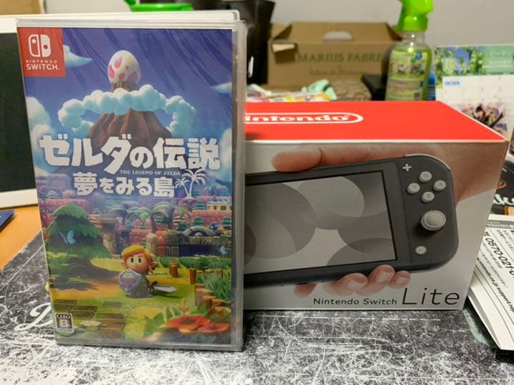 Nintendo Switch Lite グレー　ソフト付き