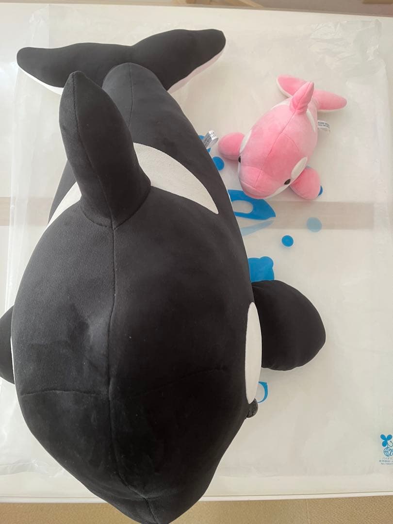 加*椿様 須磨シーワールド　オルカくじ　シャチ　1等　ぬいぐるみ