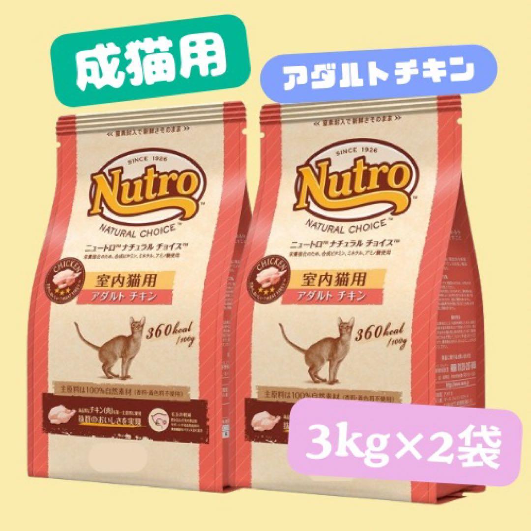 さつき