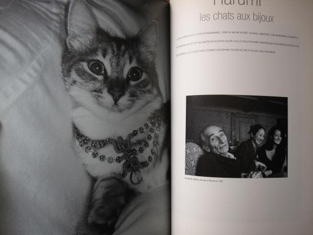 アート・デザイン・音楽 Alain Vircondelet Les chats de Balthus