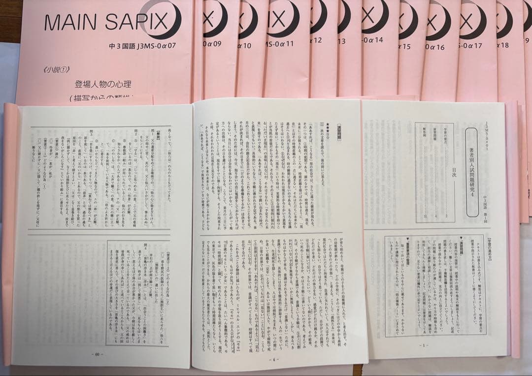 SAPIX中学部中3 国語 夏期講習 春期講習 漢字マスター 古文問題集計50冊