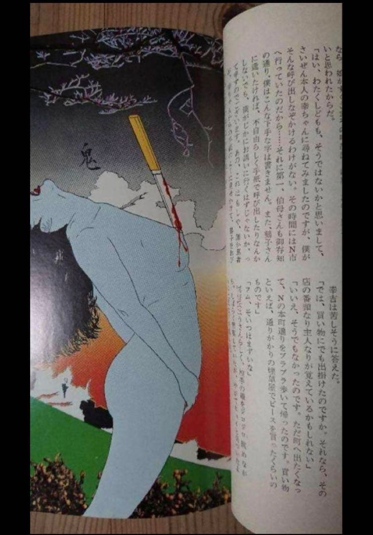 【希少・匿名配送】江戸川乱歩★黒蜥蜴★暗黒星★2冊セット★横尾忠則