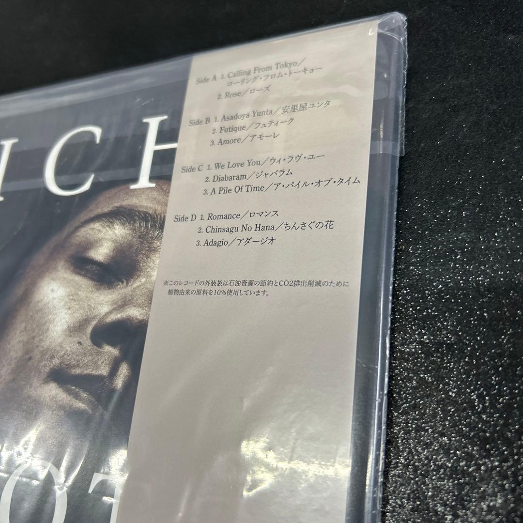 坂本龍一／ビューティ　　2枚組アナログレコード 限定盤　180g重量盤
