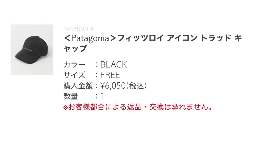 patagonia 黒 キャップ パタゴニア