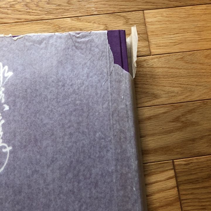 超レア 水谷八重子