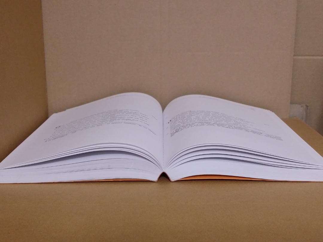 ドイツ/古本 Die eren Schriften ペーパーバック