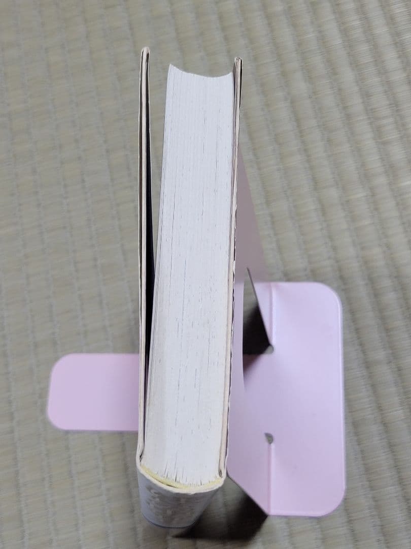 わたなべまさこ名作集 「ばらの中のリザ」 愛蔵版　ハードカバー　帯付き