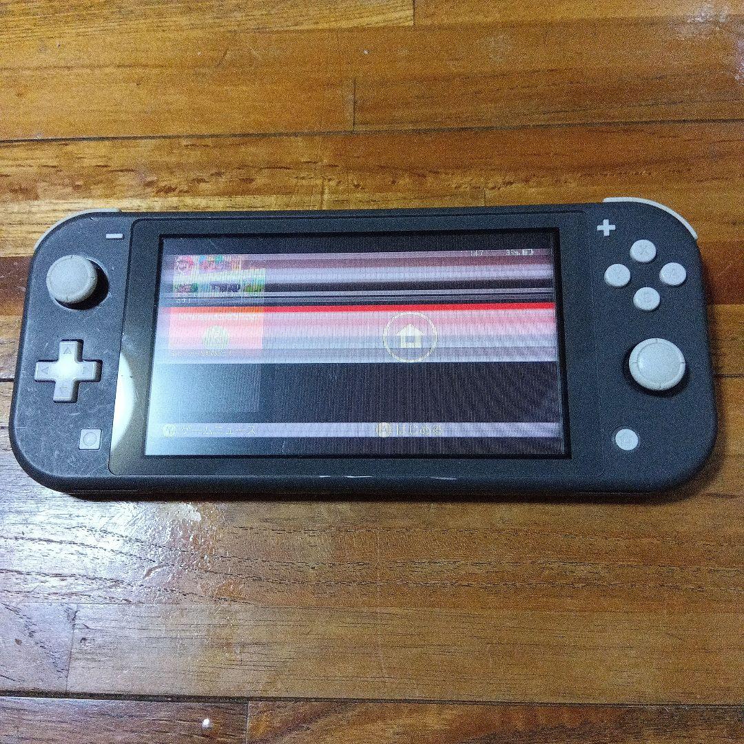 d*9様 「ジャンク」Switch　Lite　グレー