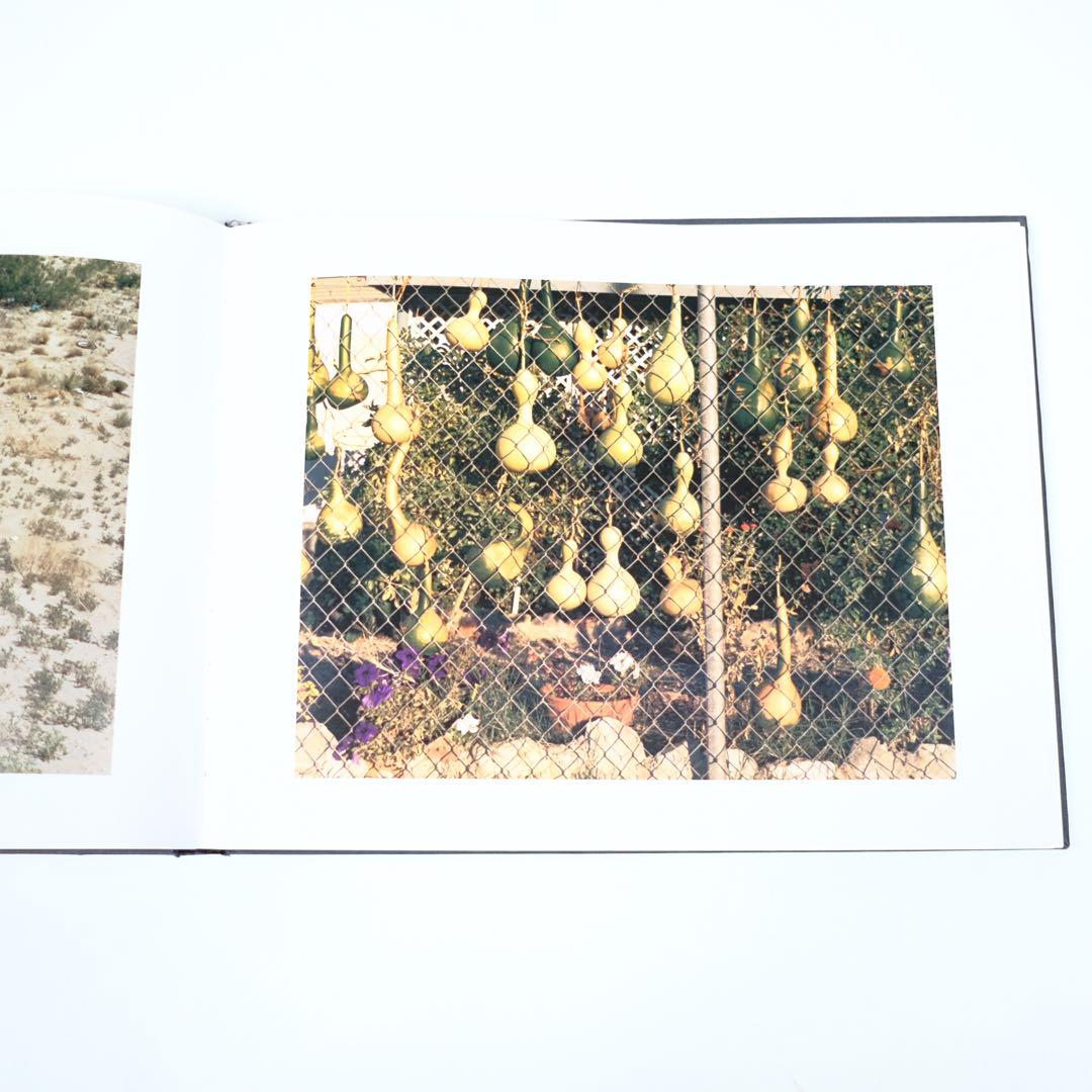Nick Waplington Truth or Consequences 洋書