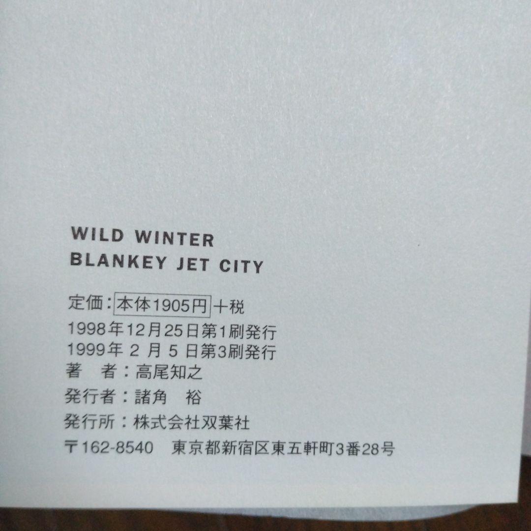 趣味・スポーツ・実用 Wild winter : BLANKEY JET CITY