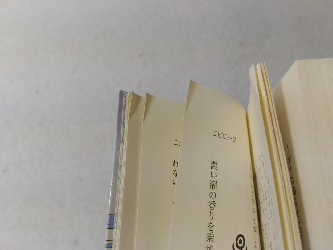 小説ヨコハマ買い出し紀行 見て、歩き、よろこぶ者 香月照葉 芦奈野ひとし