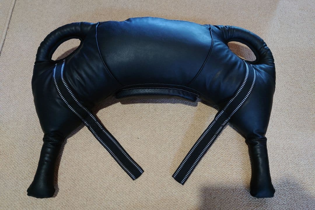 ブルガリアンサンドバッグ 12kg x-type