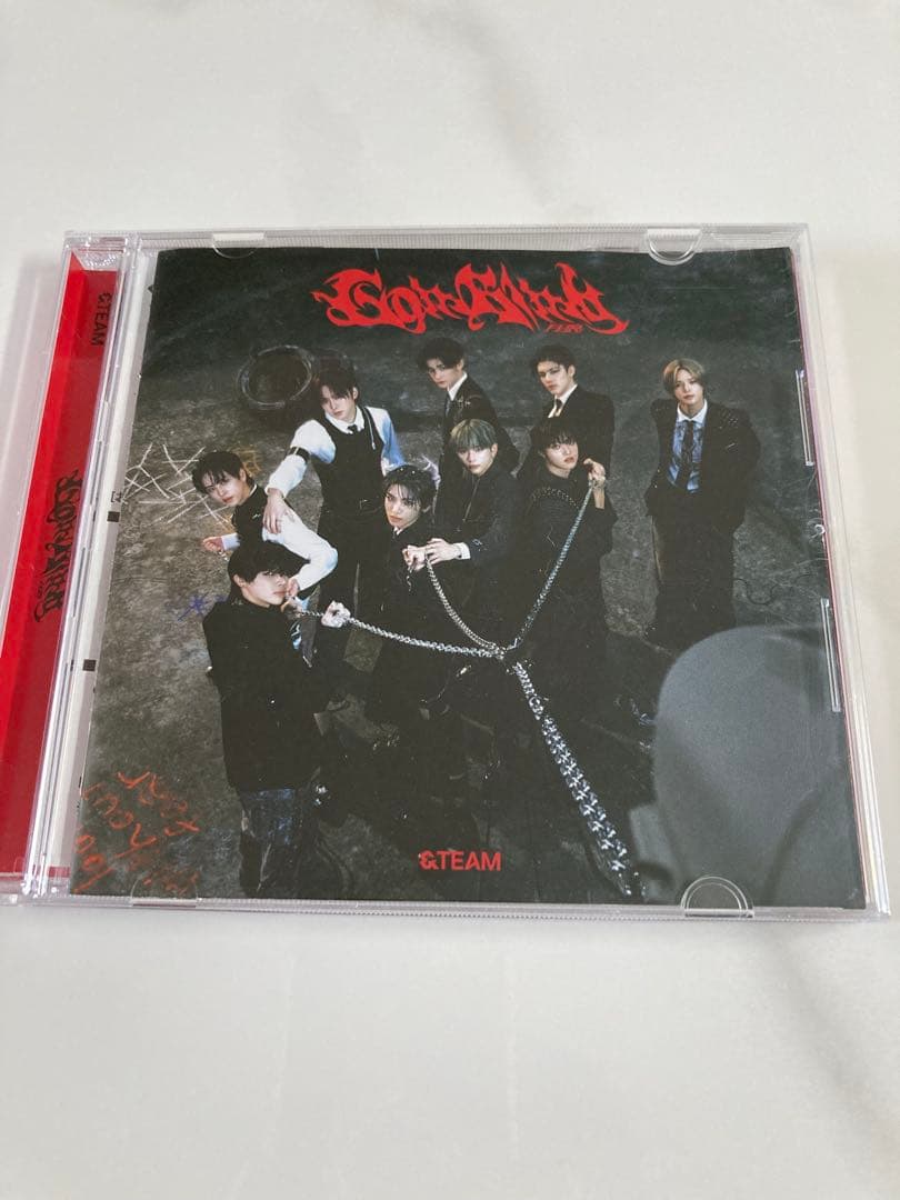 &TEAM ペンライト＋グッズセット販売