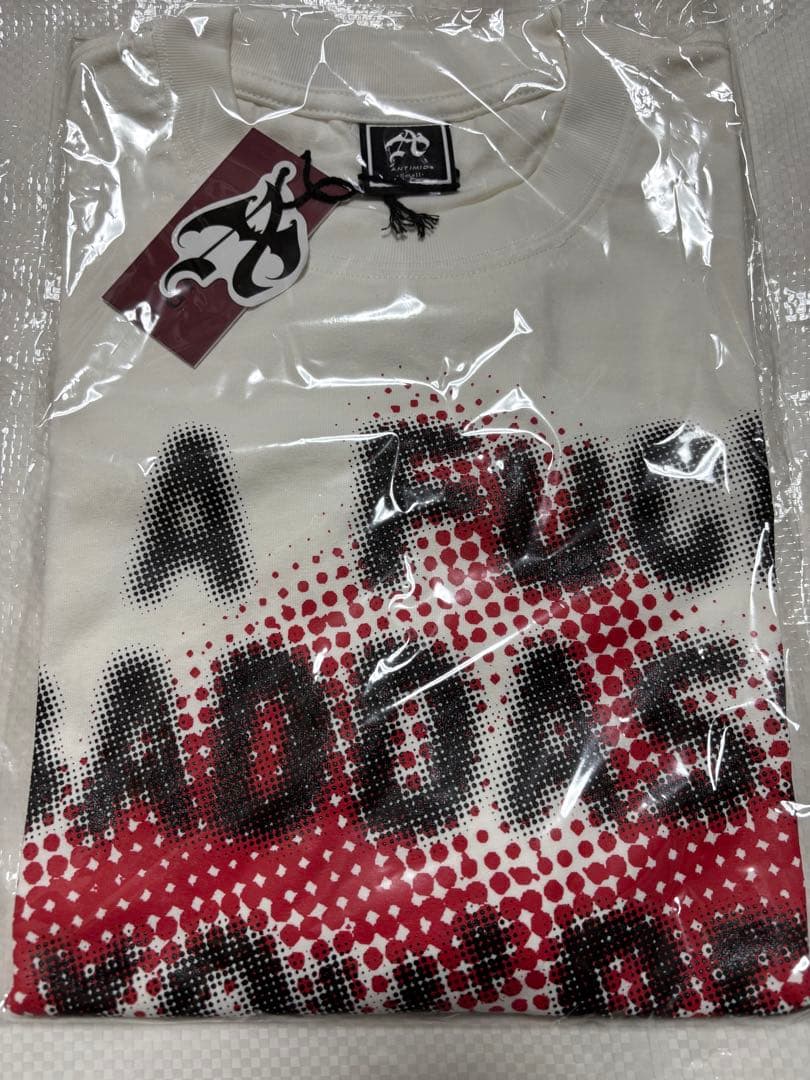 ANTIMID BIG LOGO TEE tig 着用 アンチミッド　S