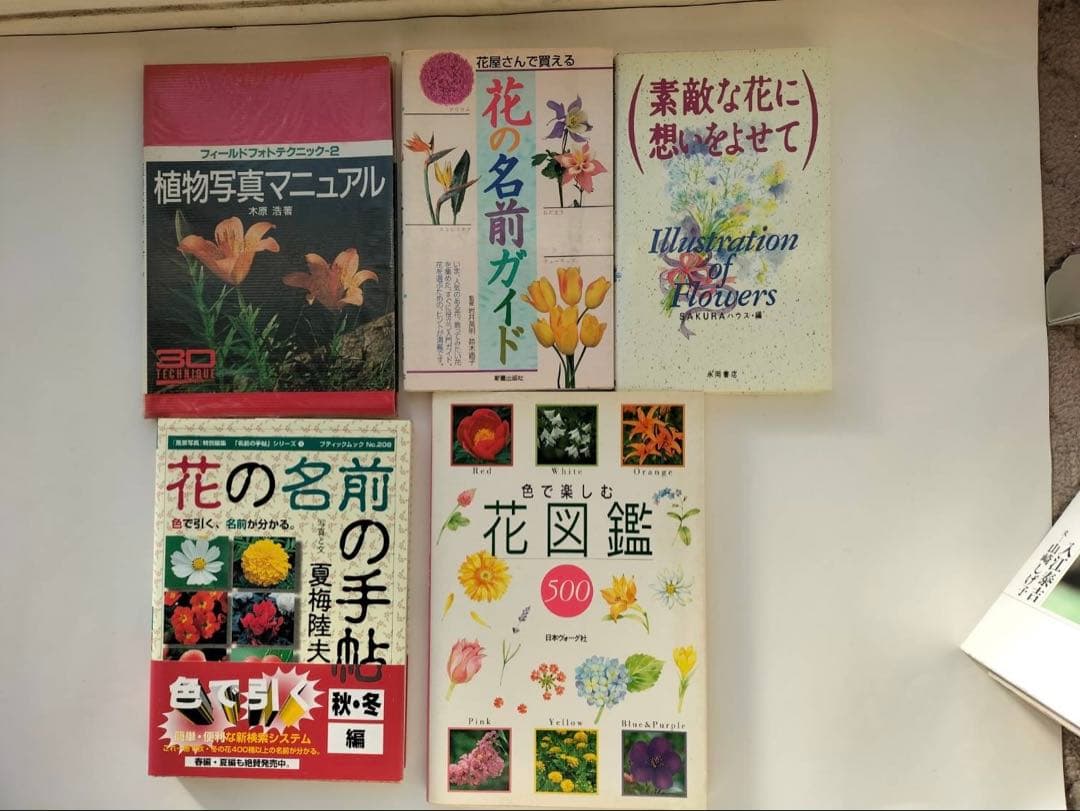 花　写真　図鑑 スケッチ　エッセイ 12冊セット