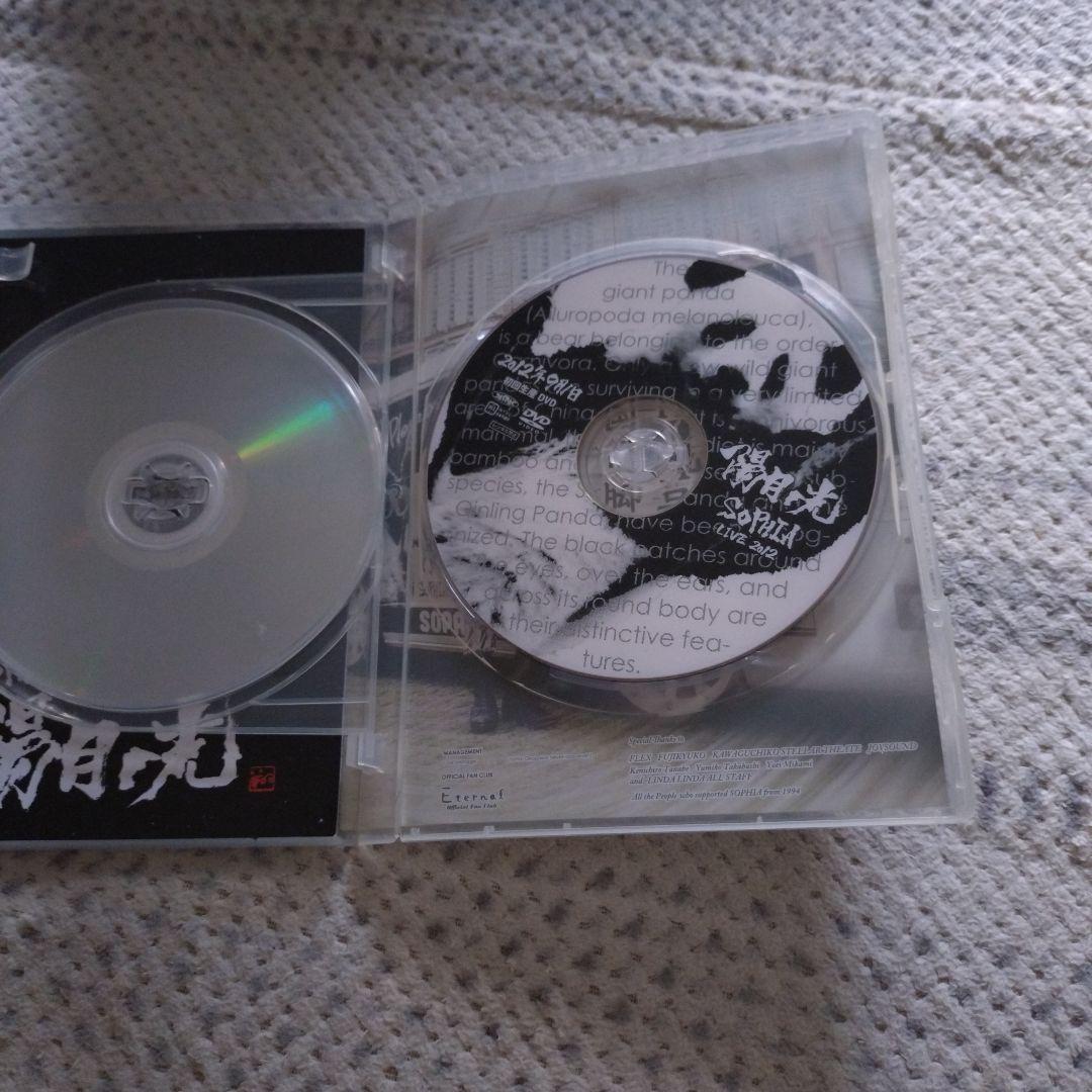 ミュージック SOPHIA LIVE 2012 DVD