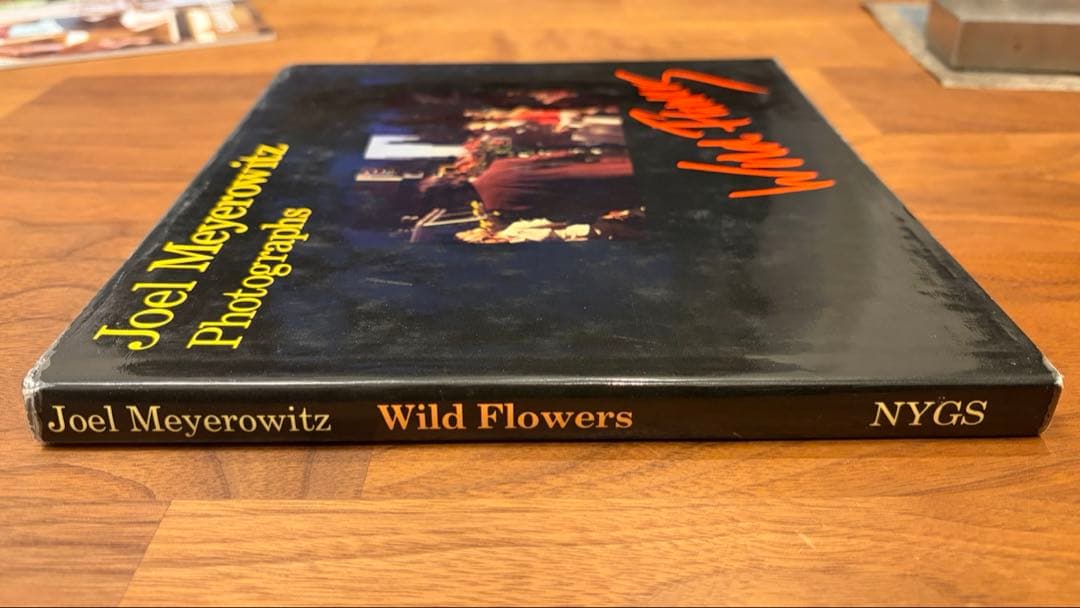 アート・デザイン・音楽 Joel Meyerowitz Wild Flowers