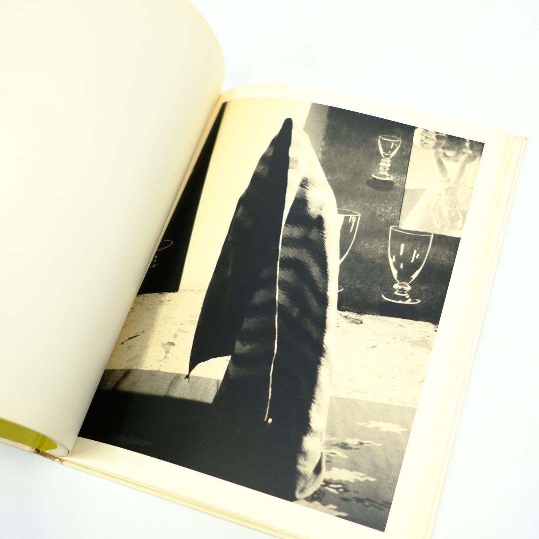 DAVID SALLE PHOTOGRAPHS デヴィッド・サーレ　写真集　洋書