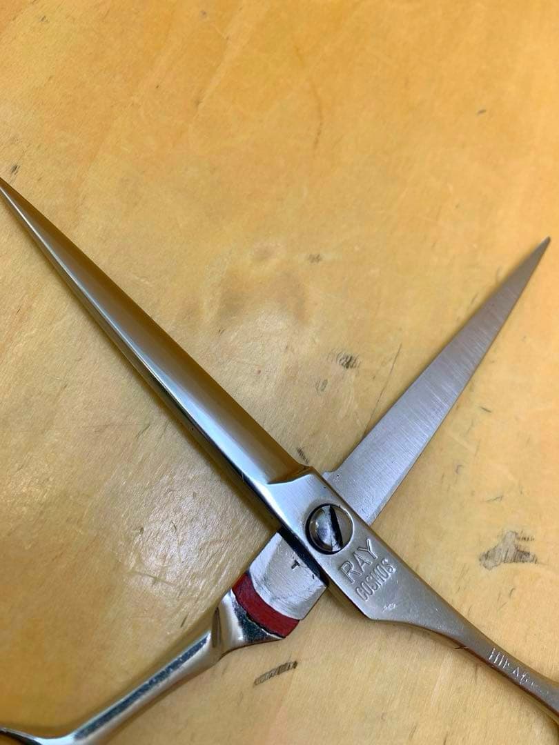ぽんす　光　レイコスモス131