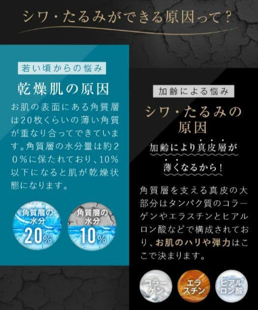 イオントリートメント 気's 美顔器