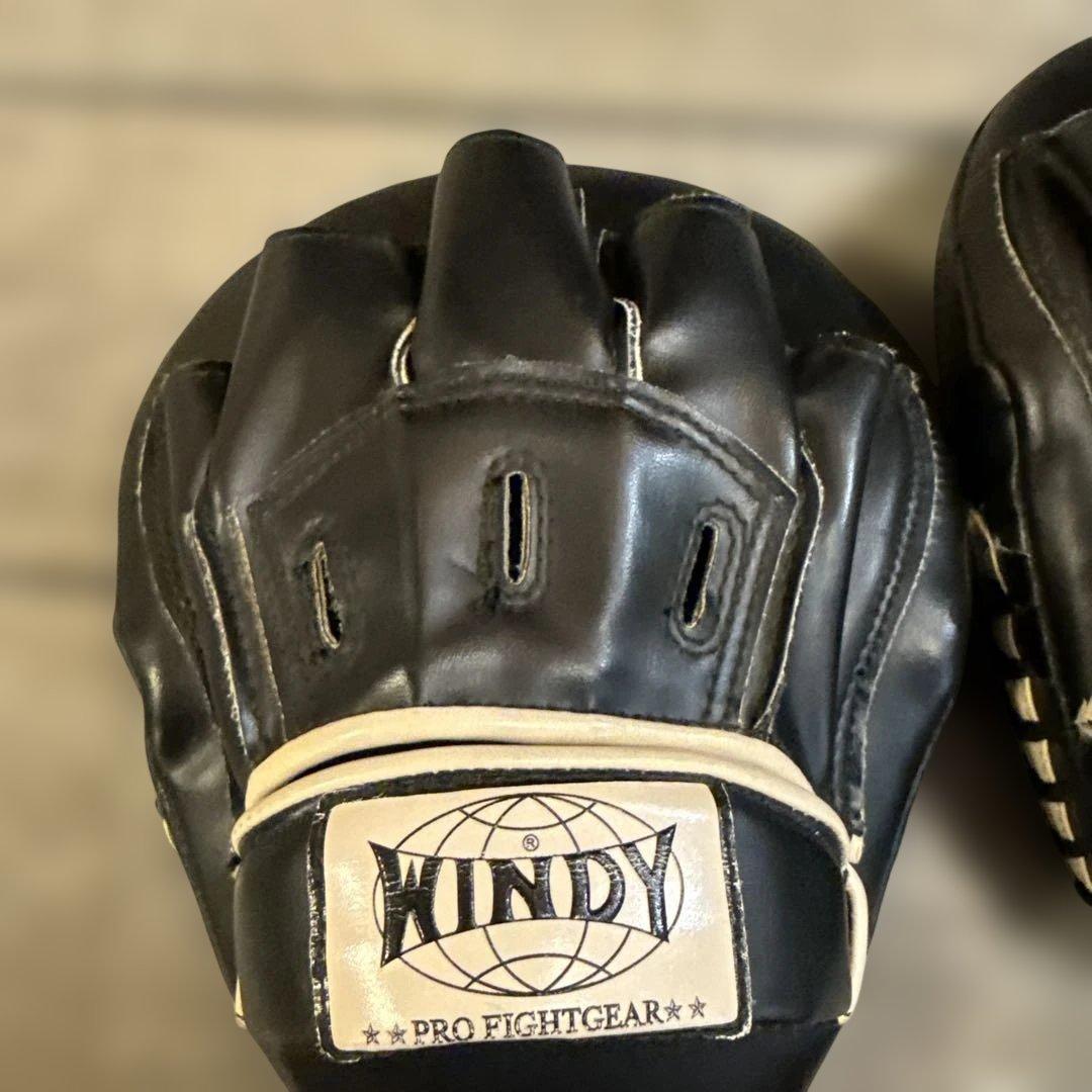 WINDY パンチングミット PP-10C