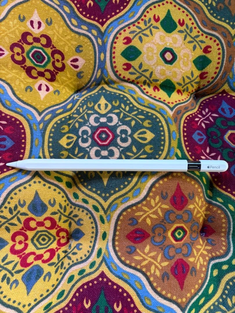 【Apple Pencil (USB-C)】