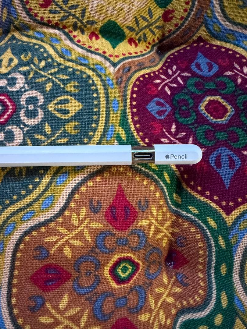 【Apple Pencil (USB-C)】