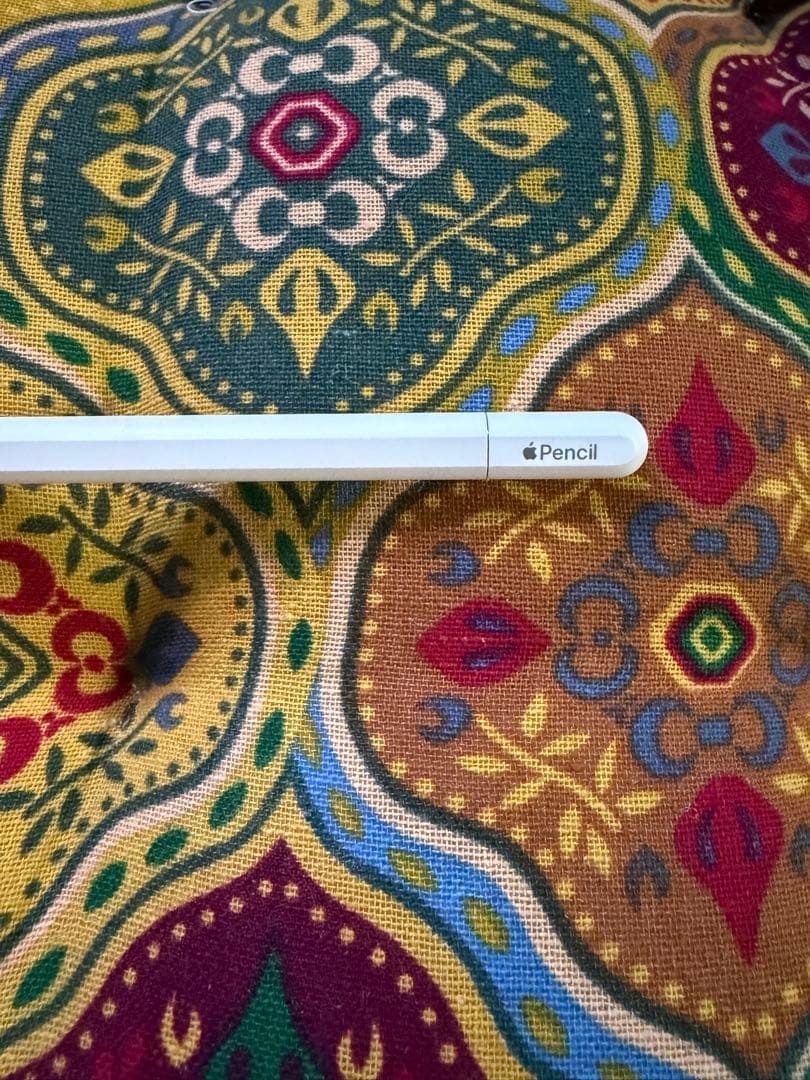 【Apple Pencil (USB-C)】