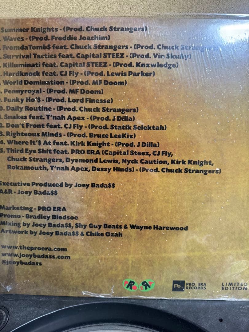 洋楽 Joey Bada$$ 1999 2LP