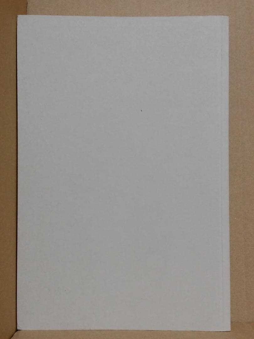 ドイツ/古本 THOMAS MANN JAHRBUCH Band 18 2005