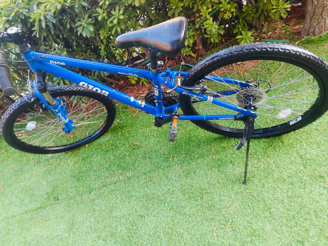 セ*ラ様 GIOS Genova 24 size ジュニア自転車 青