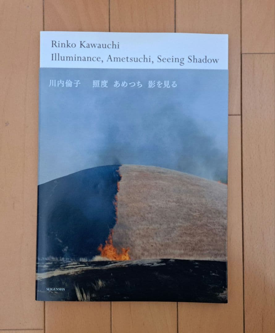 川内倫子　照度　あめつち影を見る