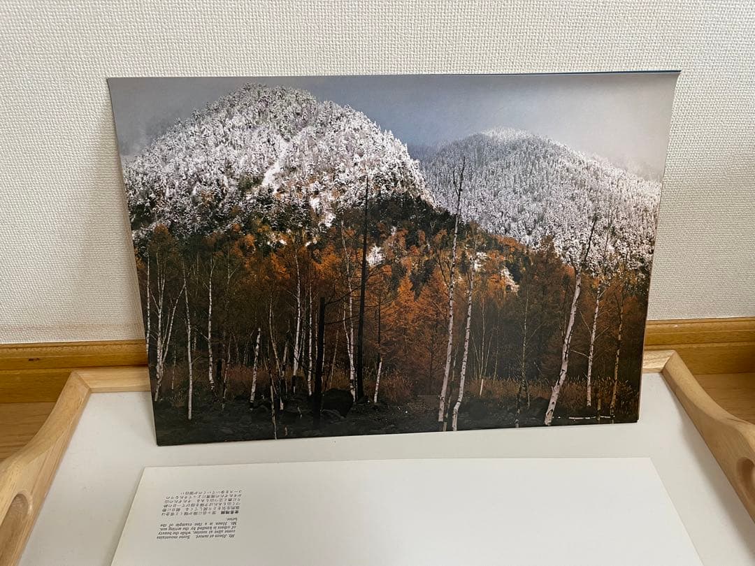 日本アルプス　田淵行男　1975年　付録写真4枚付き サイン入り