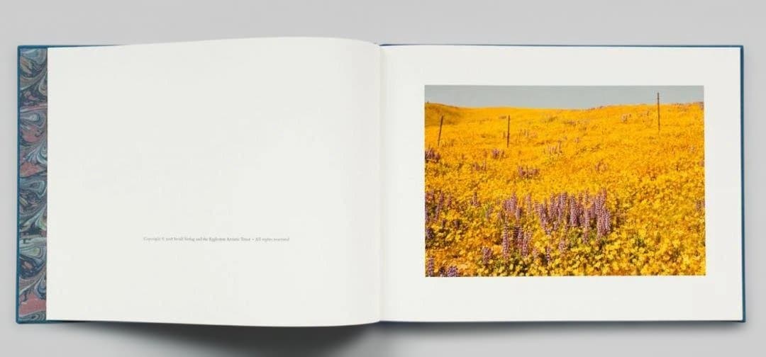 【William Eggleston：Morals of Vision】★★新品