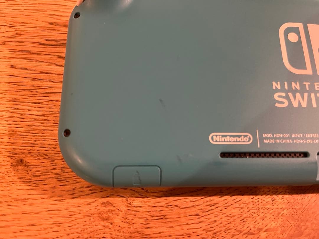 Nintendo Switch Lite 充電ケーブル・ケース付き