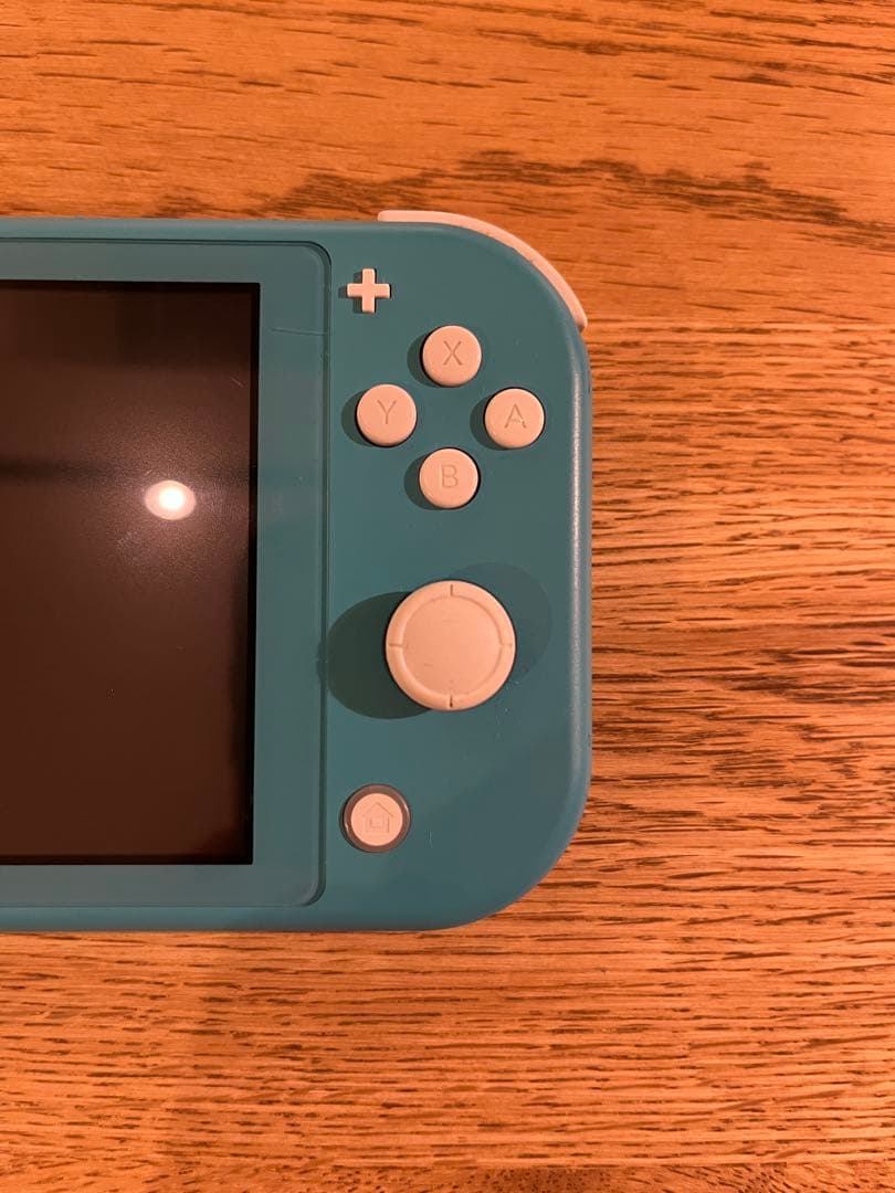 Nintendo Switch Lite 充電ケーブル・ケース付き