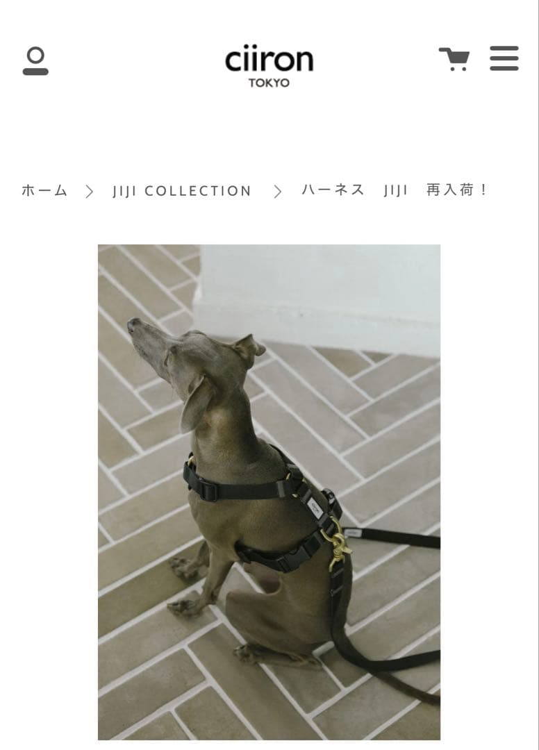 ciiron TOKYO ハーネス JIJI サイズS