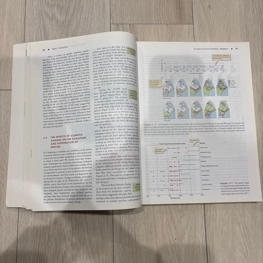 語学・辞書・学習参考書 Essentials of ecology WILEY