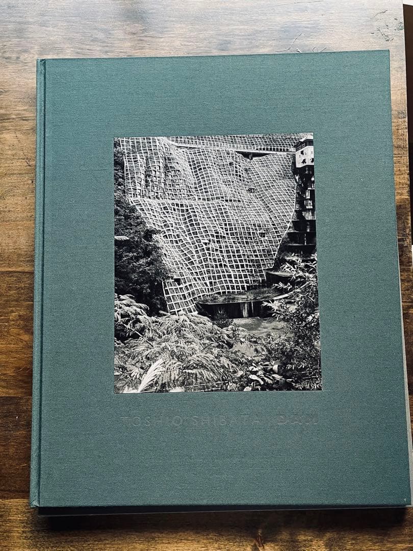 柴田敏雄　DAM