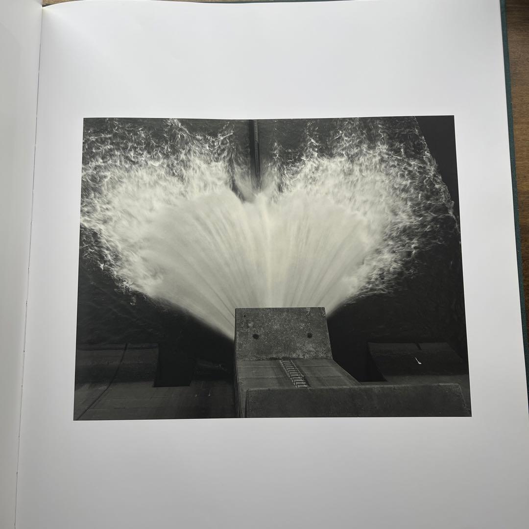 柴田敏雄　DAM