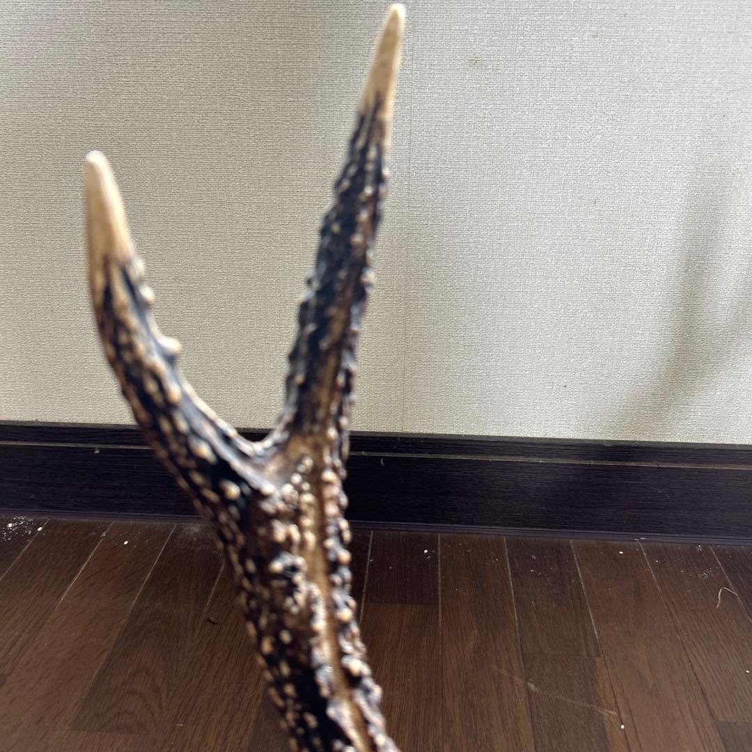 鹿の角刀掛け