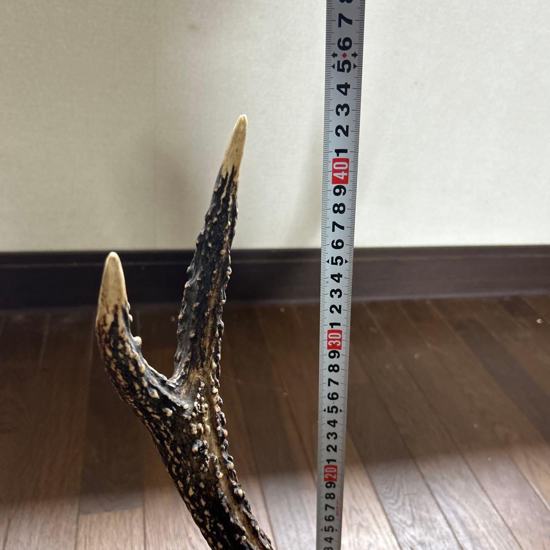 鹿の角刀掛け