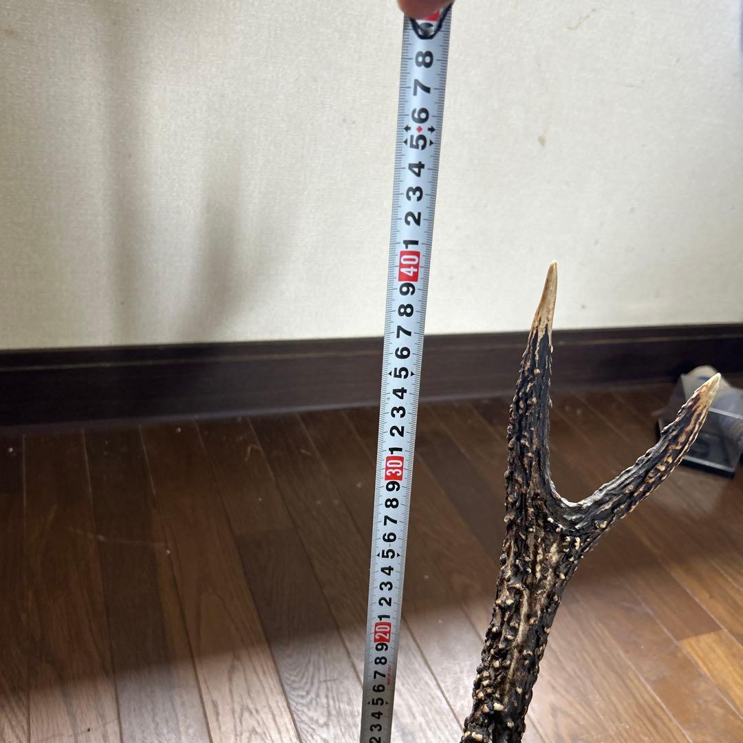 鹿の角刀掛け