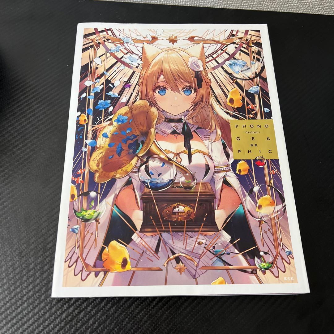 イラストレーター画集セット売り【ドルフロ、necomi、ももこ、DSマイル】
