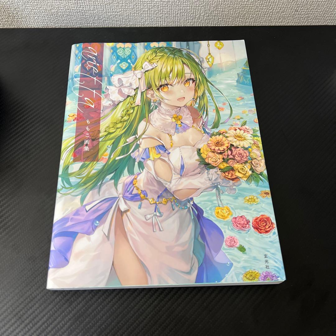 イラストレーター画集セット売り【ドルフロ、necomi、ももこ、DSマイル】
