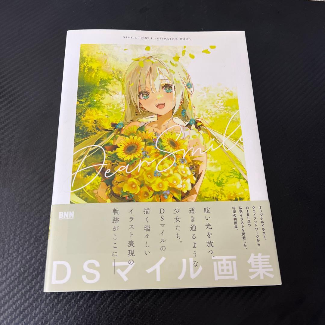 イラストレーター画集セット売り【ドルフロ、necomi、ももこ、DSマイル】