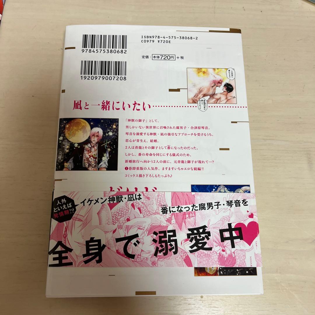 腐男子召喚 ～異世界で神獣にハメられました～ 2