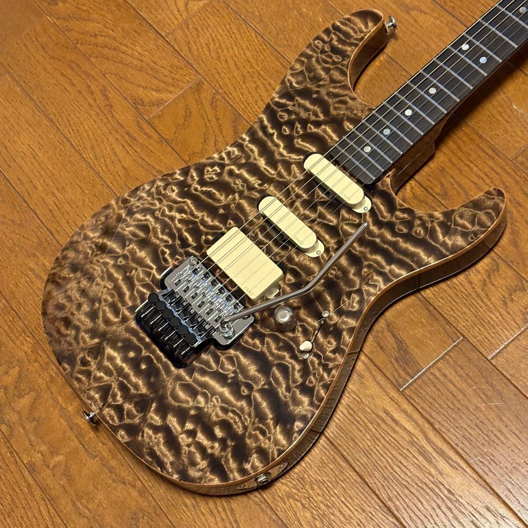 ギター Valley Arts Japan Custom Pro SRE270