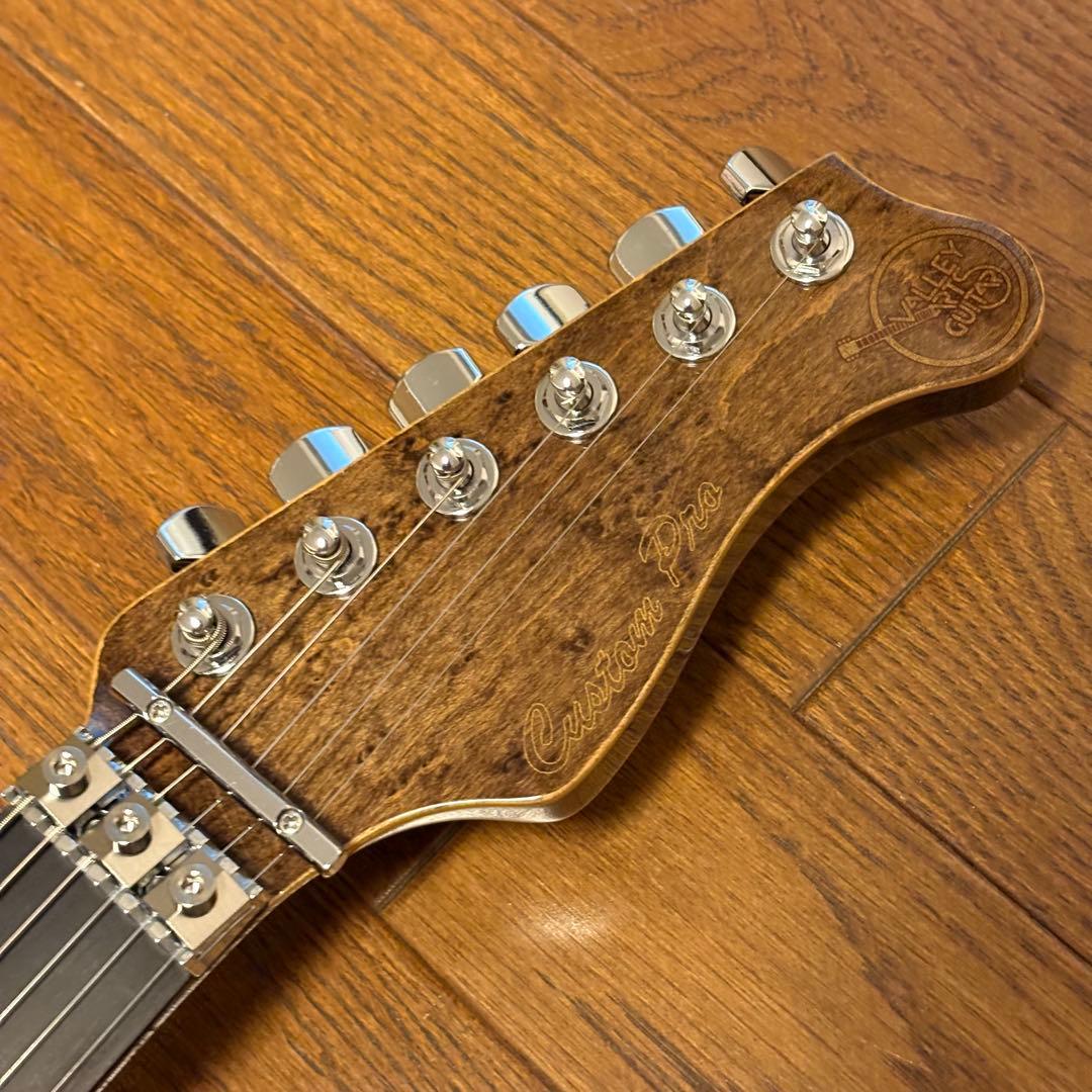 ギター Valley Arts Japan Custom Pro SRE270